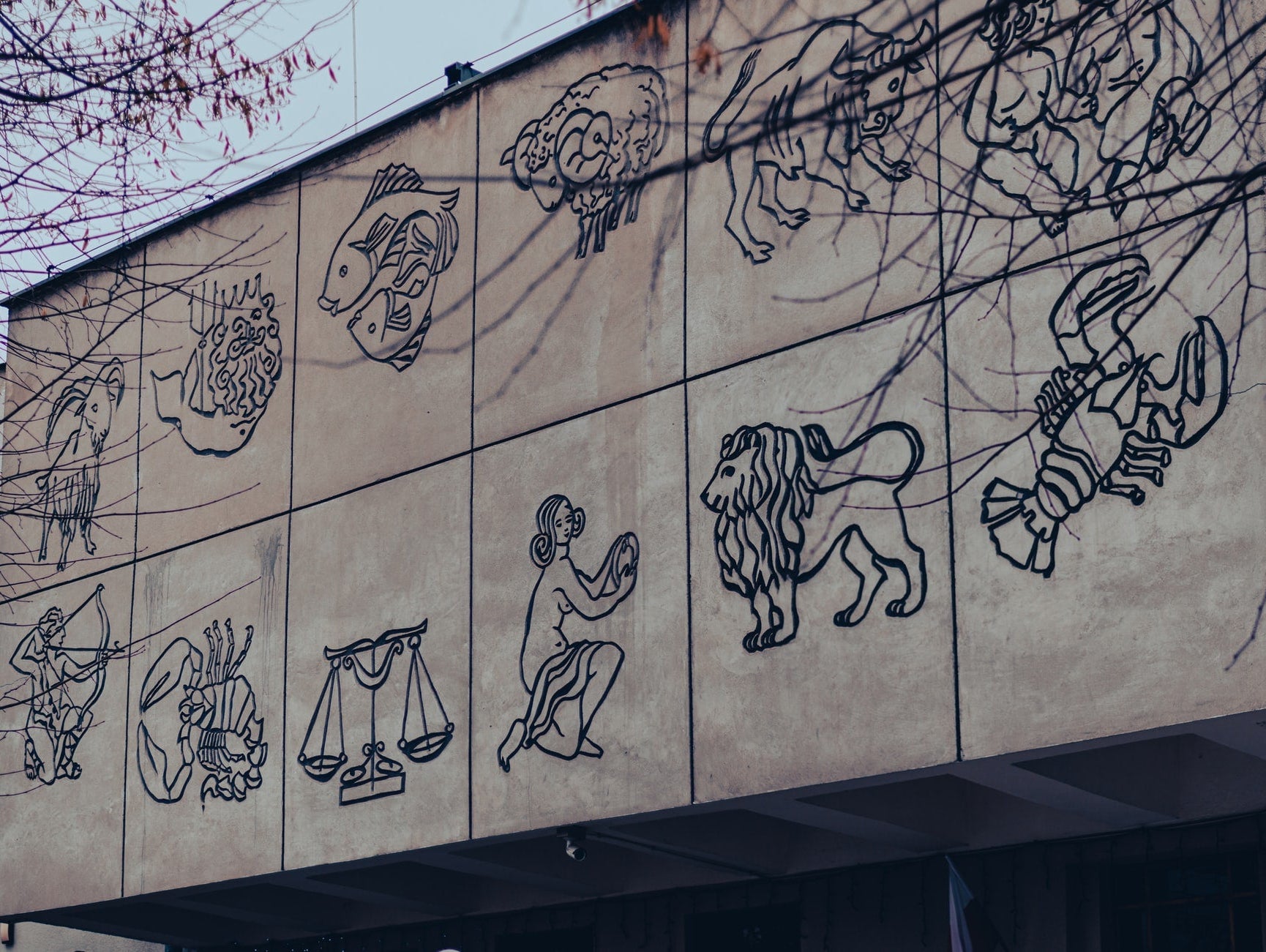 Zodiac Glassware. Whats Your Perfect Glass?