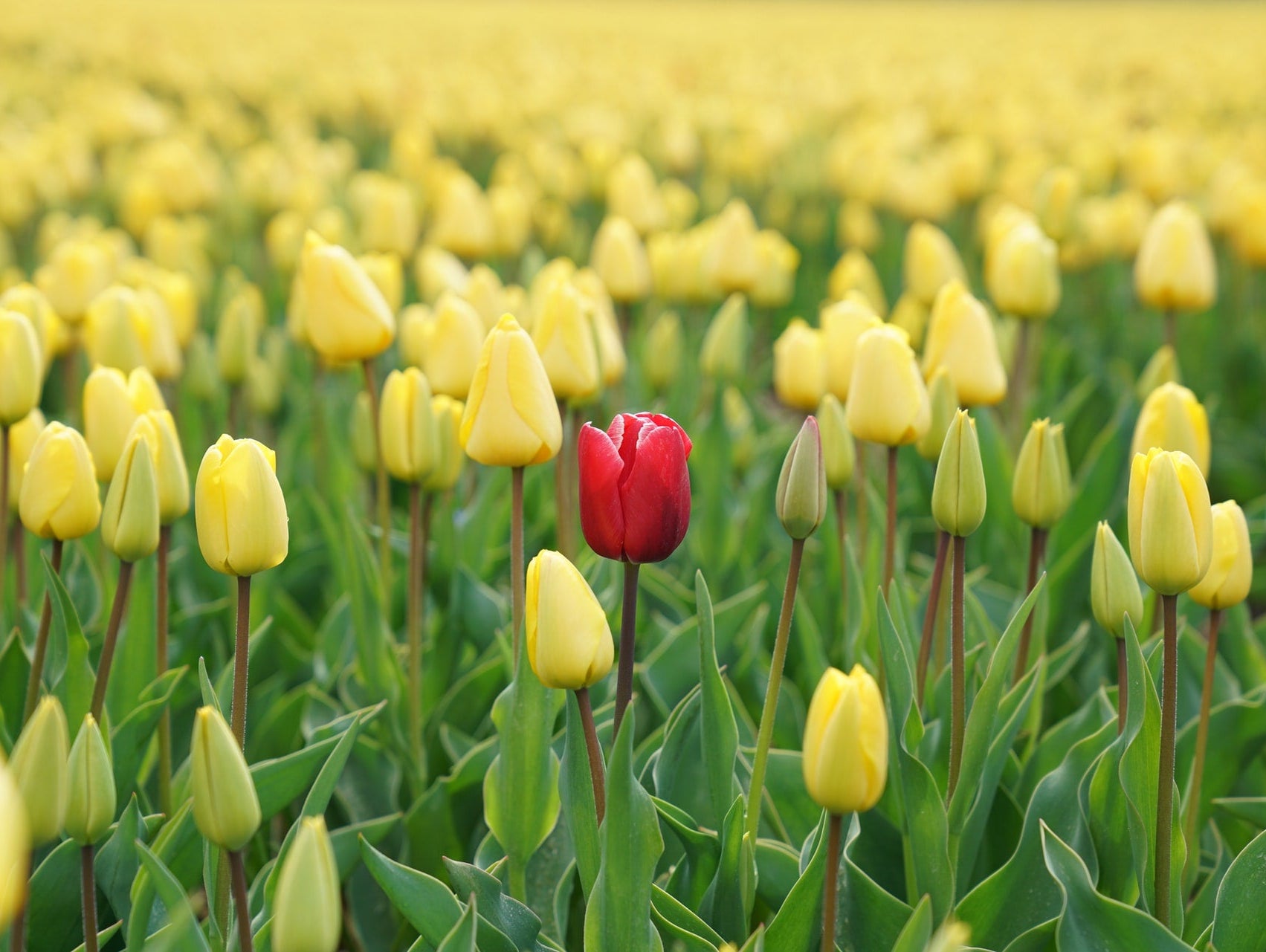 Tips on how to make your store stand out