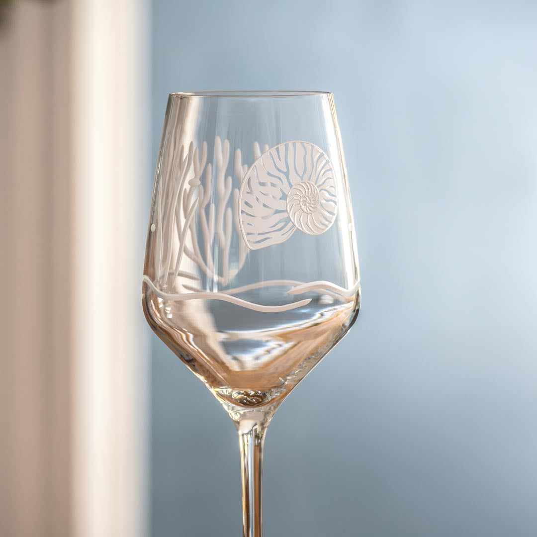 Nautilus 19.5oz All Purpose Wine Glass by Rolf Glass