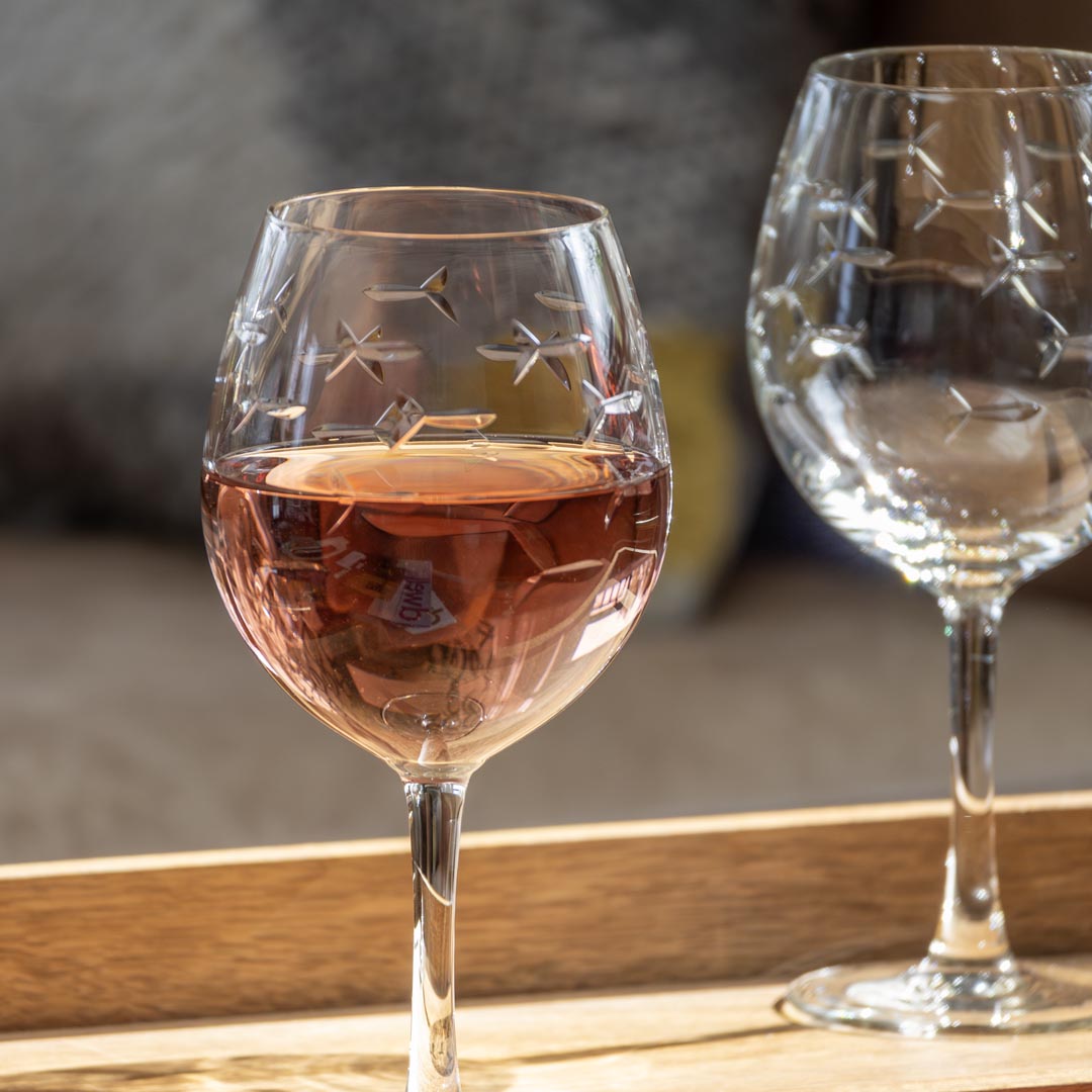 Why This Fish Swims the Other Way