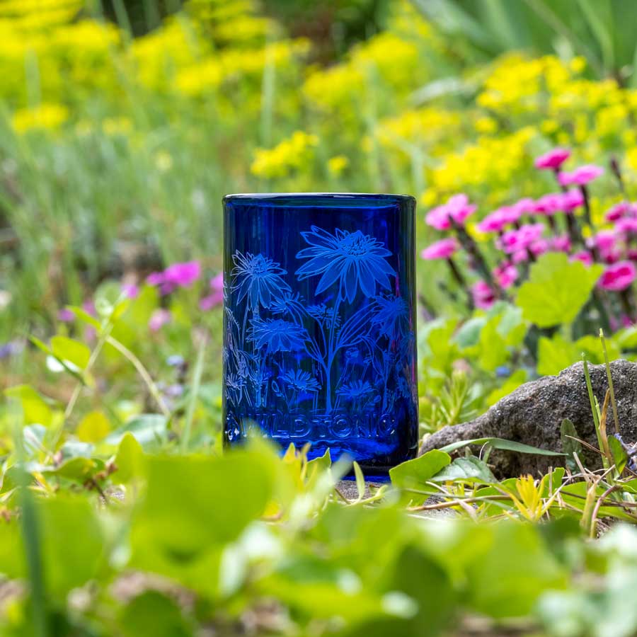 Rolf Glass Wildflowers Glassware Collection