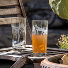 Rolf Glass Dragonfly 15oz Cooler Highball Cocktail Glass