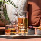 Rolf Glass Flamingo Cooler Highball Glass outdoor entertaining with snacks and drinks