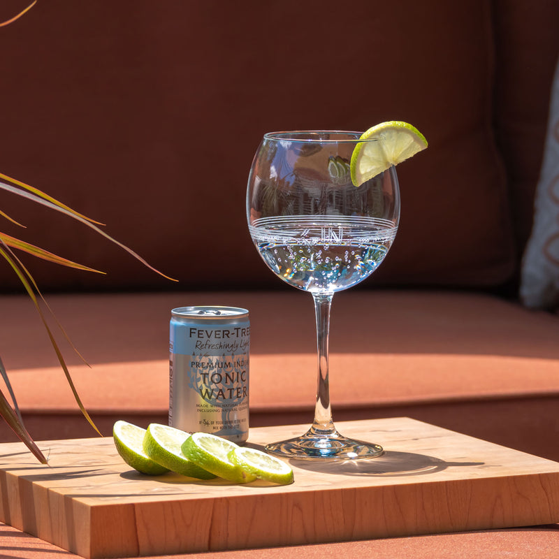 Rolf Glass 18oz Gin Spritzer Balloon Cocktail Glass with gin and tonic