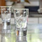 Rolf Glass Mothership UFO Cooler Highball Cocktail Glass Man Abductee in the kitchen