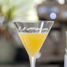 Rolf Glass Sandpiper 7.5oz Martini Cocktail Glass