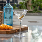 Rolf Glass School of Fish 10oz Martini Cocktail Glass