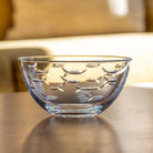 Rolf Glass School of Fish Small Round Glass Bowl on a table