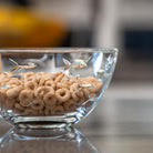 Rolf Glass School of Fish Small Round Glass Bowl with some cereal