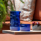 Rolf Glass School of Fish Twice Around Blue 13oz Pitcher and 2 Inch Mini Sipper Giftbox Set on the patio