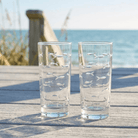 Rolf Glass School of Fish Cooler Glasses Set of 2, lifestyle photo at the beach