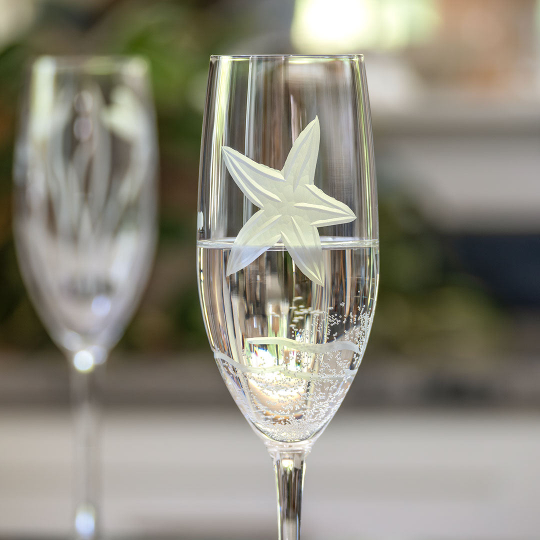 Rolf Glass Starfish 8oz Champagne Flute close up with champagne
